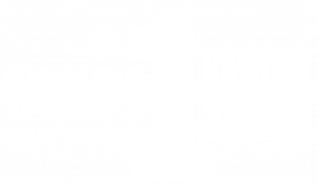 World's #1 Canyon Swing