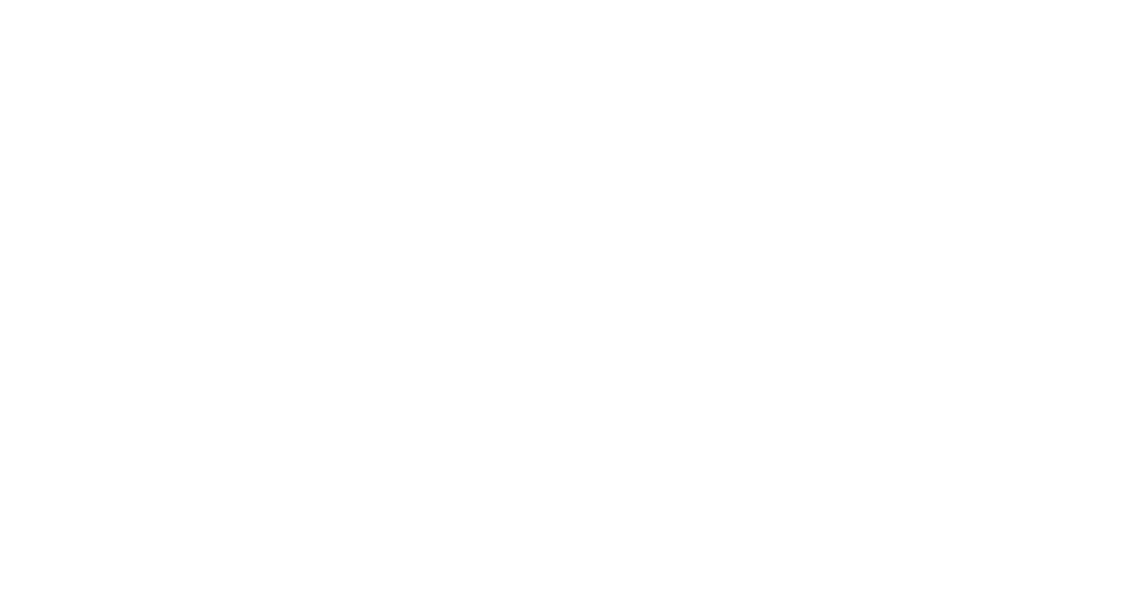 World's #1 Canyon Swing